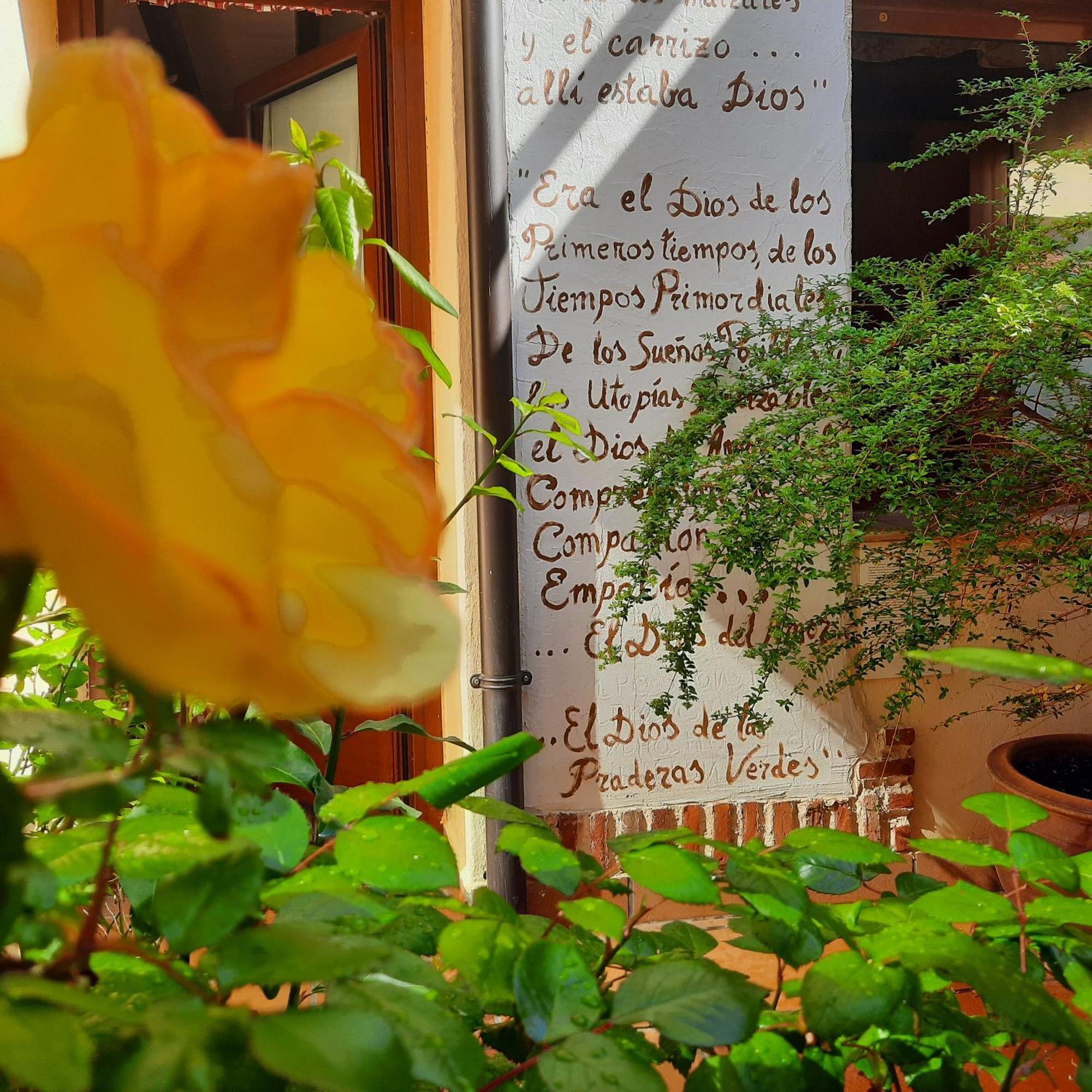 Beautiful Alamedas - Una Casa Rural Con Una Historia Unica Castronuno Exteriér fotografie