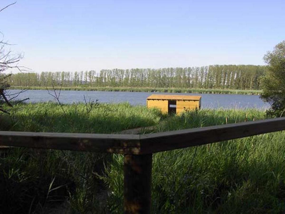 Beautiful Alamedas - Una Casa Rural Con Una Historia Unica Castronuno Exteriér fotografie