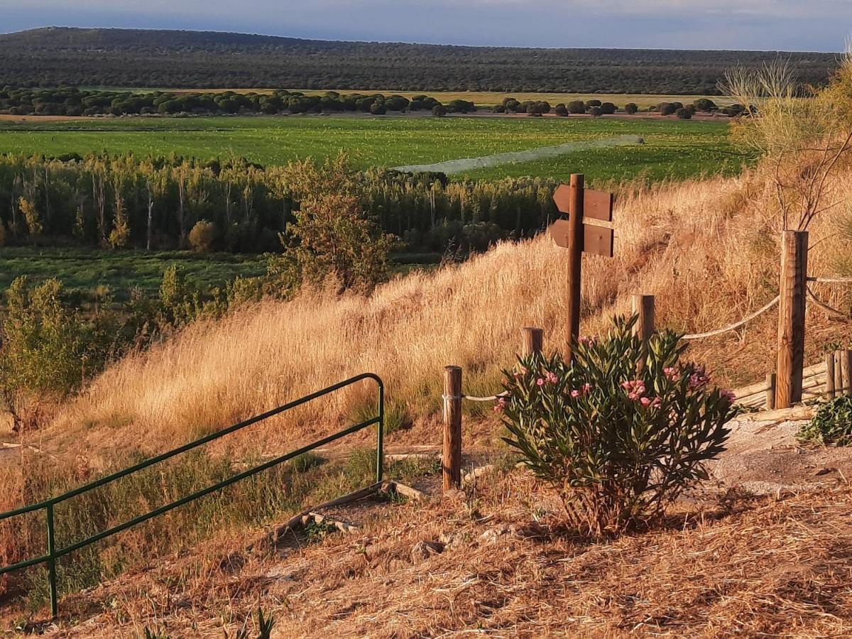 Beautiful Alamedas - Una Casa Rural Con Una Historia Unica Castronuno Exteriér fotografie